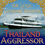Представляем новую яхту флота  - Thailand Aggressor